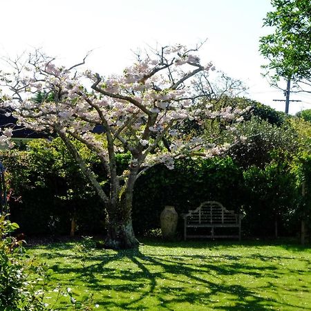 Ferienwohnung Garden Retreat Otaki Exterior foto
